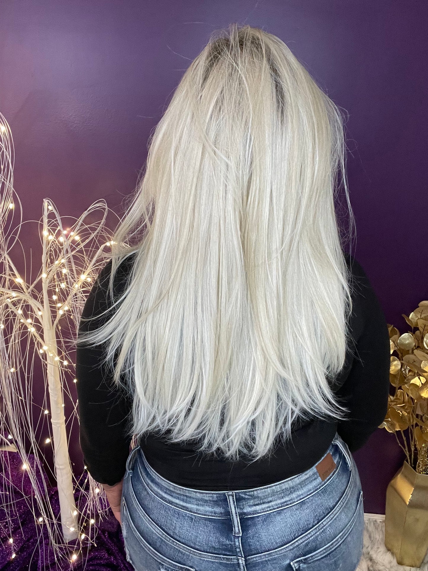 Bridgette 25 Platinum Princess HS Premium Luxury Wig NWT LW3-AC1